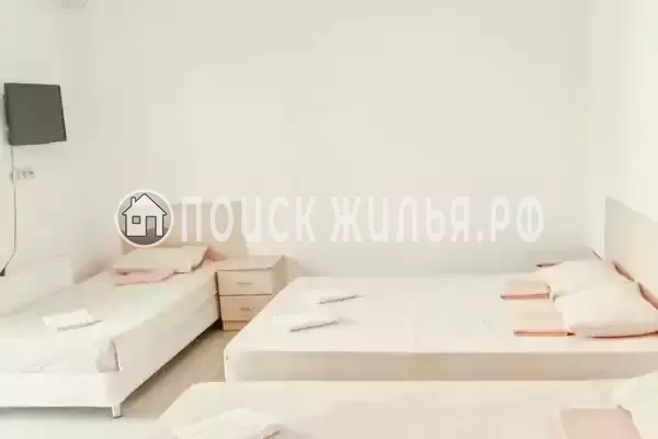 «Виноград»