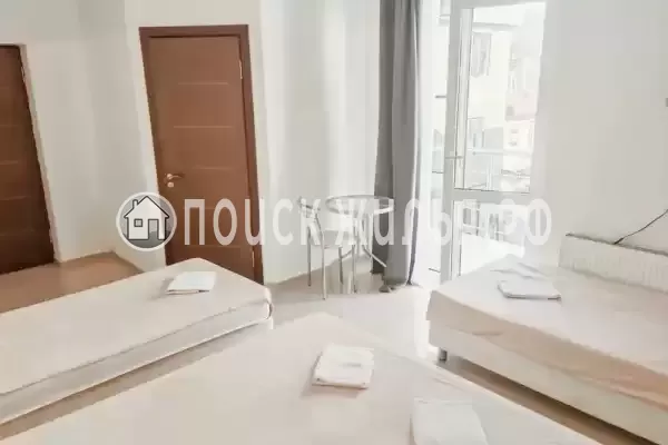 «Виноград»