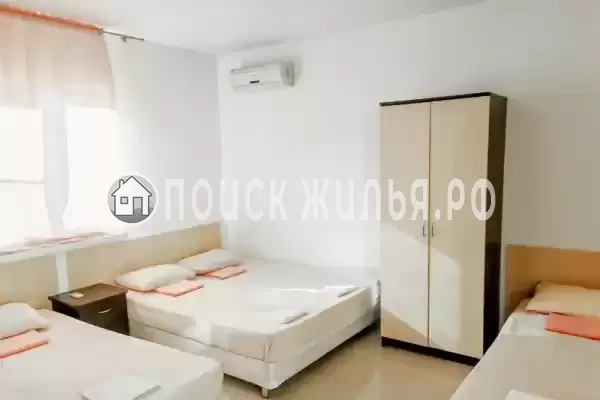 «Виноград»
