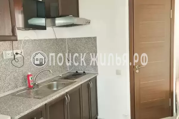 «Виноград»