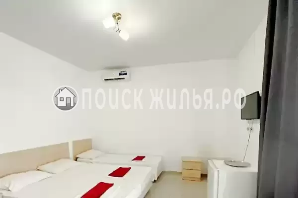 «Виноград»