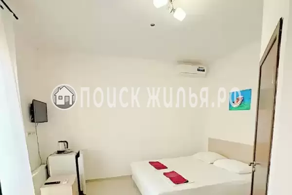 «Виноград»