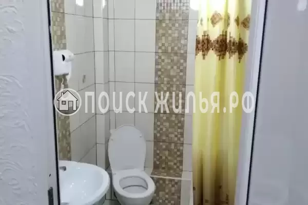 «Алиса» «Алиса»