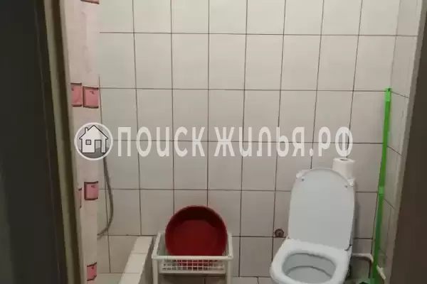 «Алиса» «Алиса»