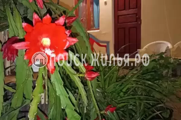 Частный сектор «Калипсо»