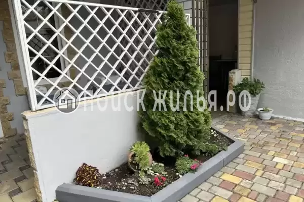 «Фламинго» «Фламинго»