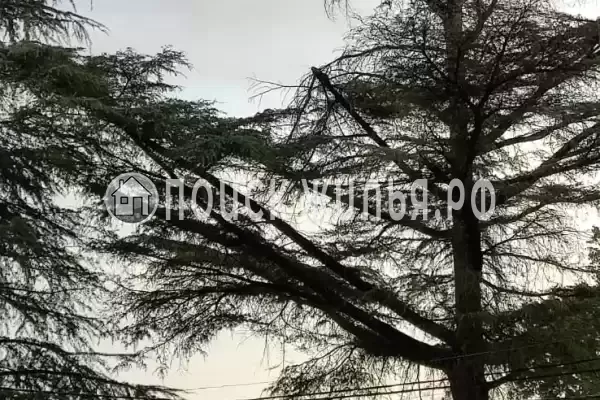 Гостевой дом «Sea zone» Гостевой дом «Sea zone»