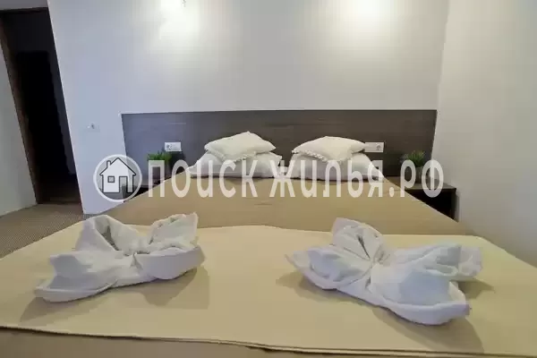 «Белое солнце»