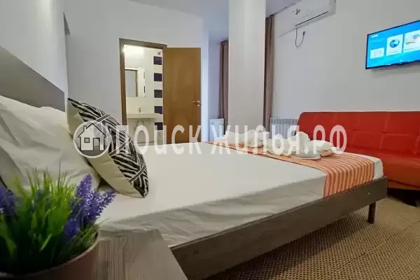 «Белое солнце»