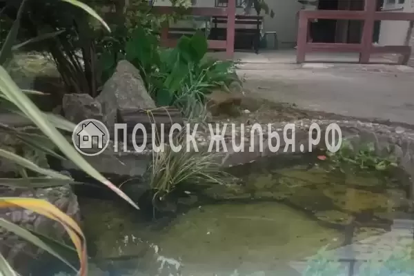 Гостевой дом «У Элизы» Гостевой дом «У Элизы»