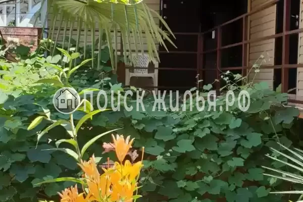 «Виноградный дворик»