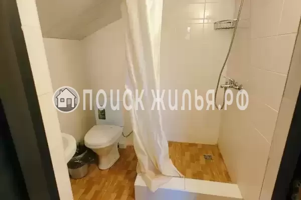 «Lion Castle» «Lion Castle»