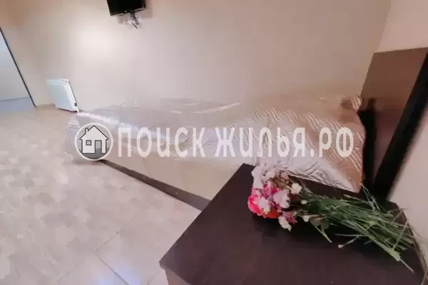 «Lion Castle» «Lion Castle»