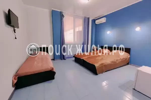 «Lion Castle» «Lion Castle»