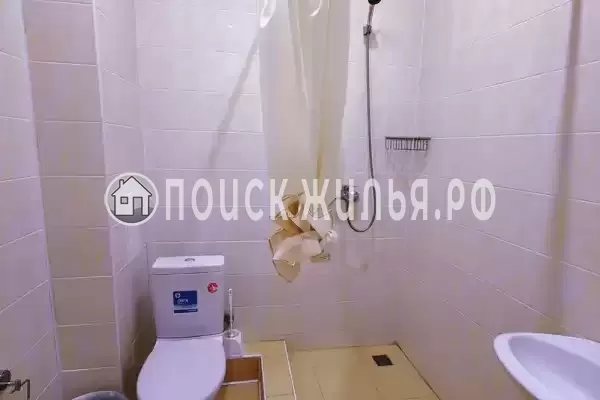 «Lion Castle» «Lion Castle»