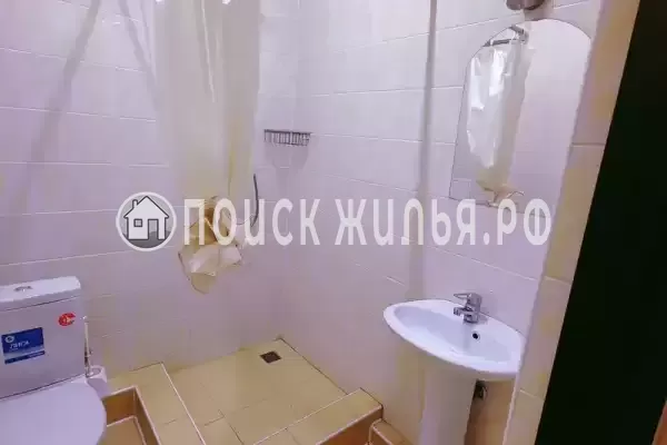 «Lion Castle» «Lion Castle»