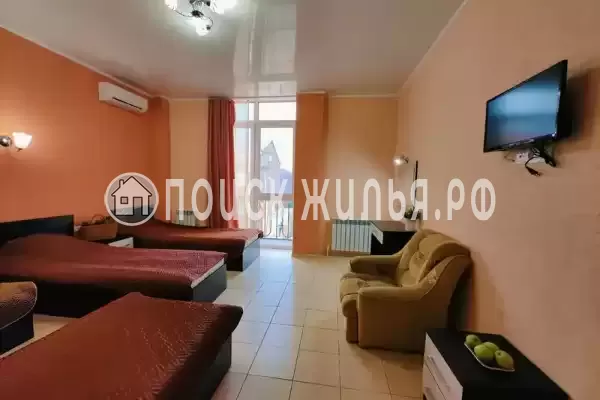 «Lion Castle» «Lion Castle»