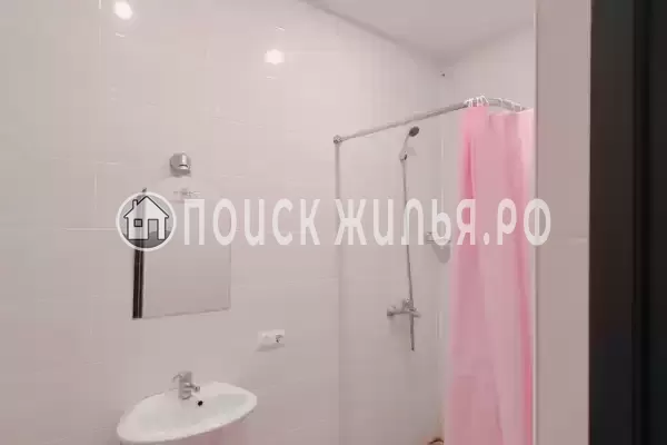 «Lion Castle» «Lion Castle»