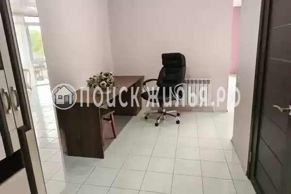 «Lion Castle» «Lion Castle»