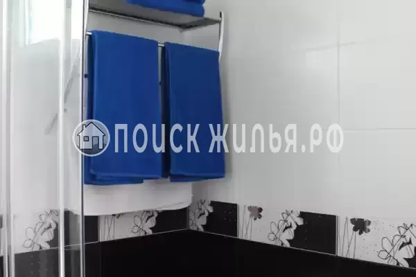 Частный сектор «Апартаменты Белая береза» Частный сектор «Апартаменты Белая береза»