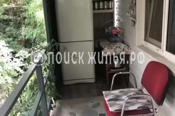 «Бамбуковый рай» «Бамбуковый рай»