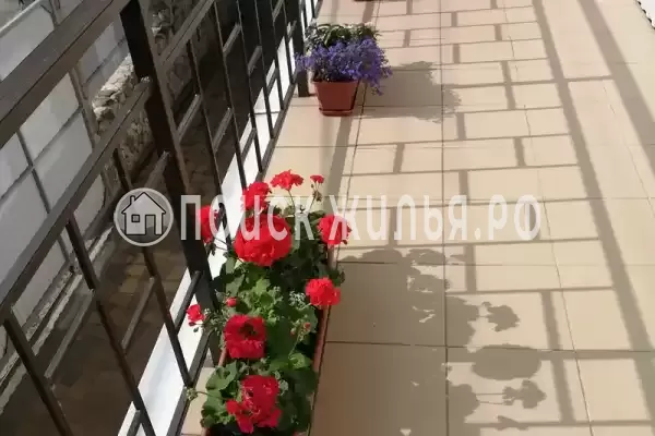 «Альпийская горка» «Альпийская горка»