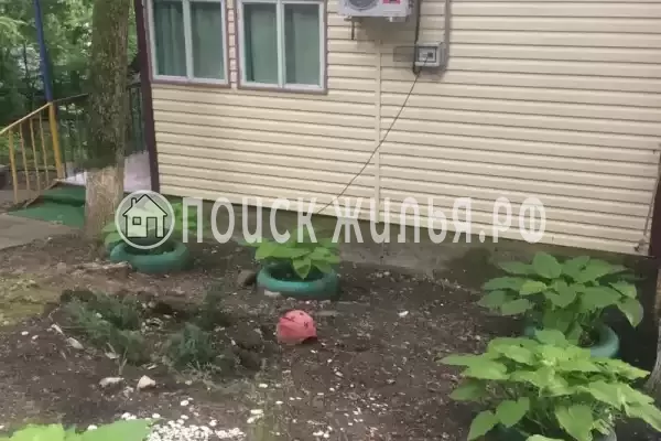 «Чайка на первом»