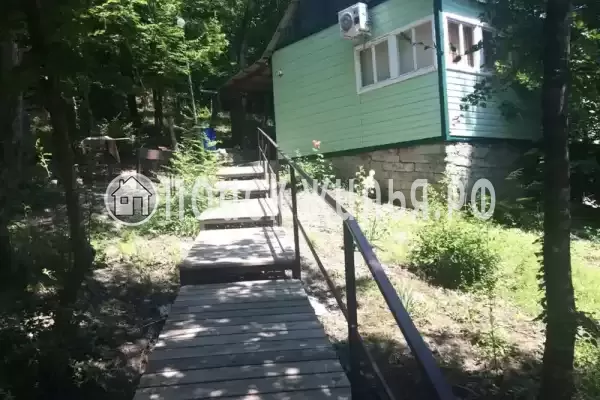 «Чайка на первом»