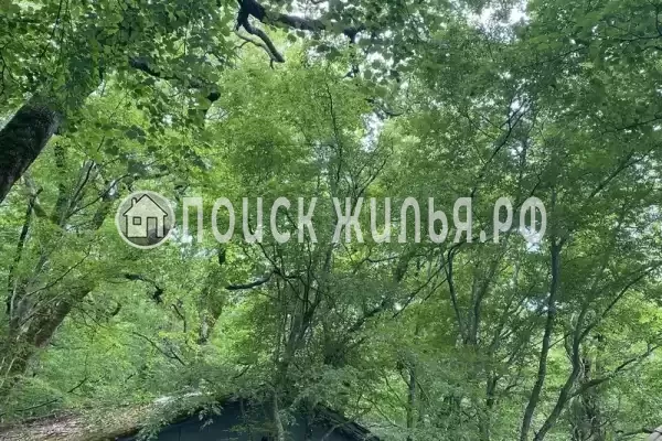 База отдыха «Затерянный рай» База отдыха «Затерянный рай»