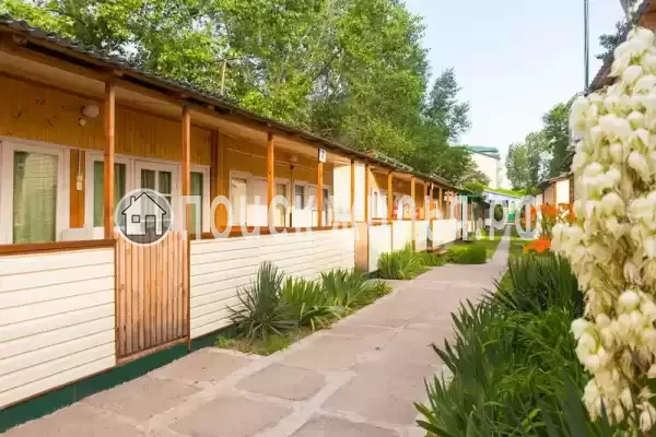 «Белый лебедь»