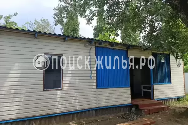 «Белый лебедь»