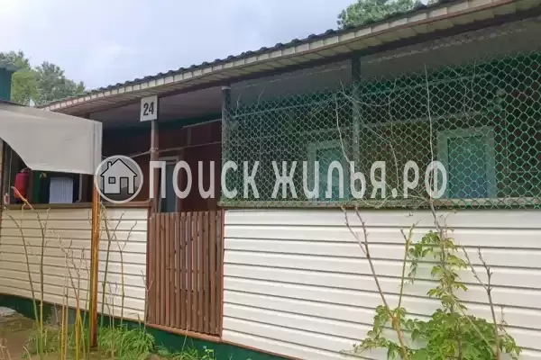 «Белый лебедь»