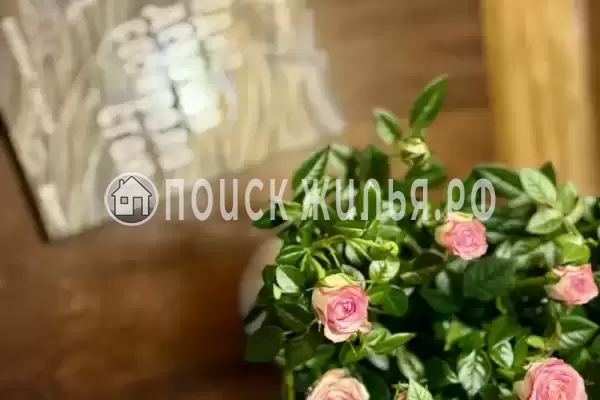 База отдыха «Кокос» База отдыха «Кокос»