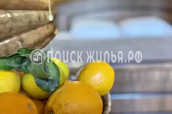 База отдыха «Кокос» База отдыха «Кокос»