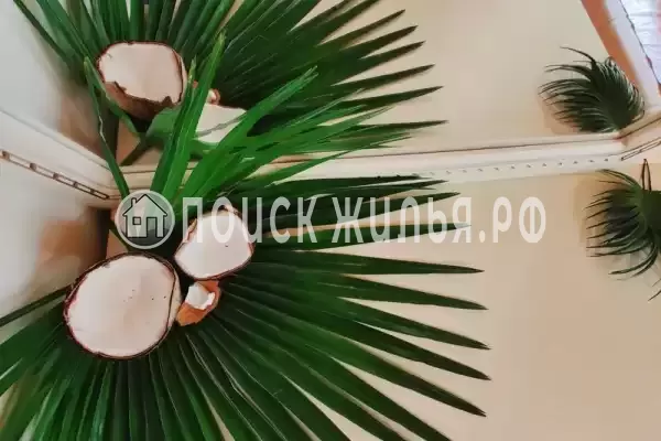 База отдыха «Кокос» База отдыха «Кокос»