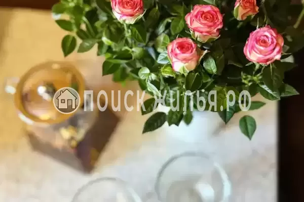 База отдыха «Кокос» База отдыха «Кокос»