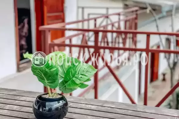 База отдыха «Динамо-2» База отдыха «Динамо-2»