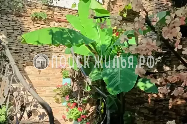 Частный сектор «Маргаритка» Частный сектор «Маргаритка»