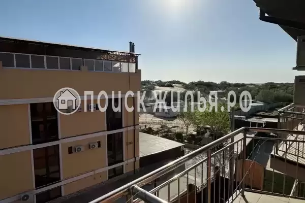 «Риф» «Риф»