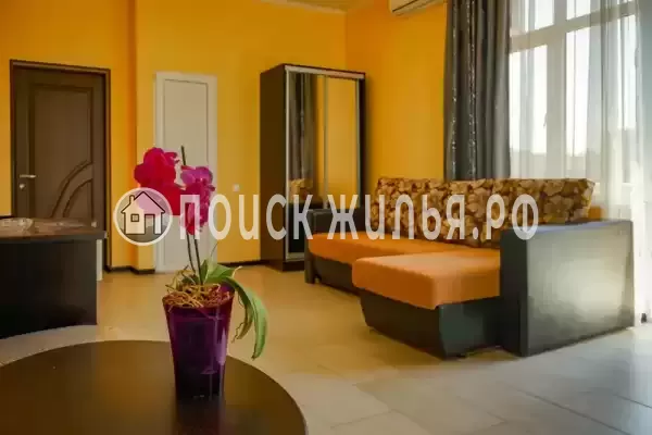 «Орхидея» «Орхидея»