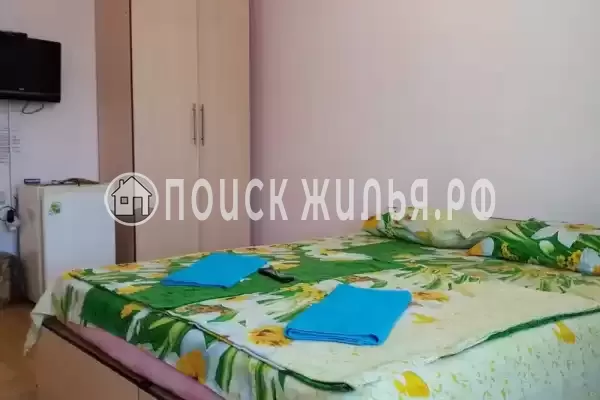 «Дельфин на ленинградской»