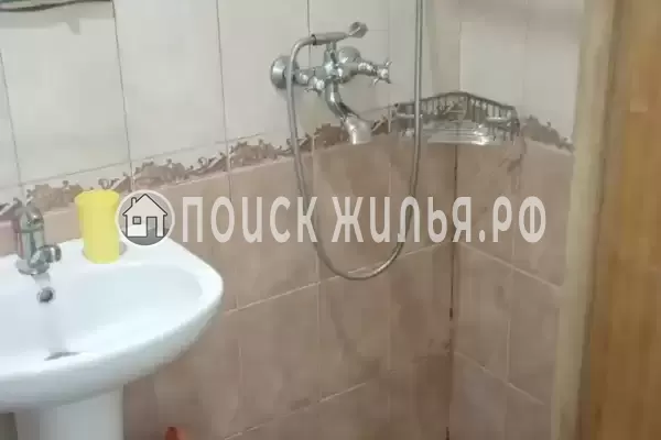 «Дельфин на ленинградской»