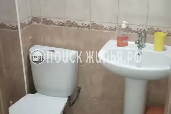 «Дельфин на ленинградской»