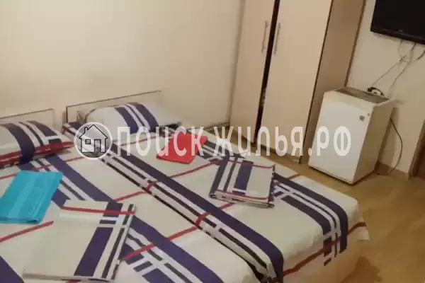 «Дельфин на ленинградской»