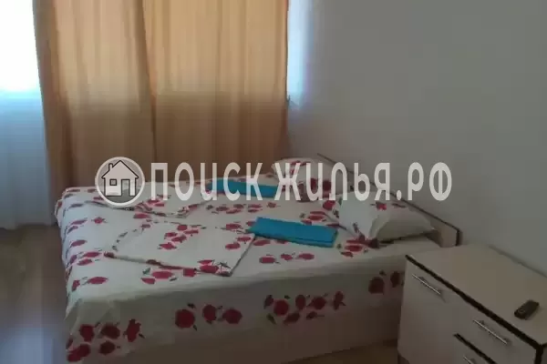 «Дельфин на ленинградской»