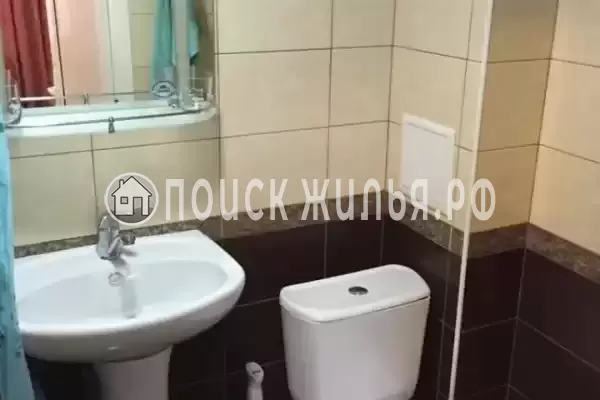 «Дельфин на ленинградской»