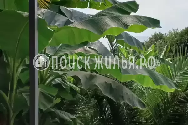 «Морские Сезоны-коттеджи и террасы» «Морские Сезоны-коттеджи и террасы»