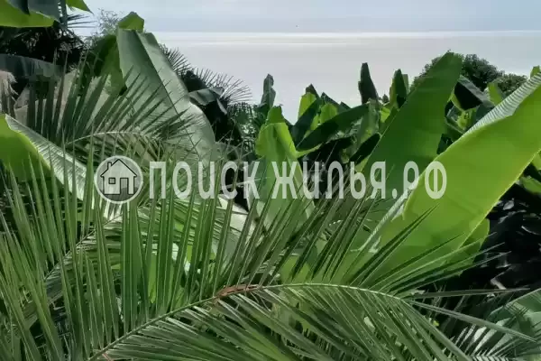 «Морские Сезоны-коттеджи и террасы» «Морские Сезоны-коттеджи и террасы»