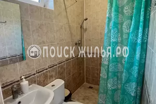 «Золотая лоза» «Золотая лоза»