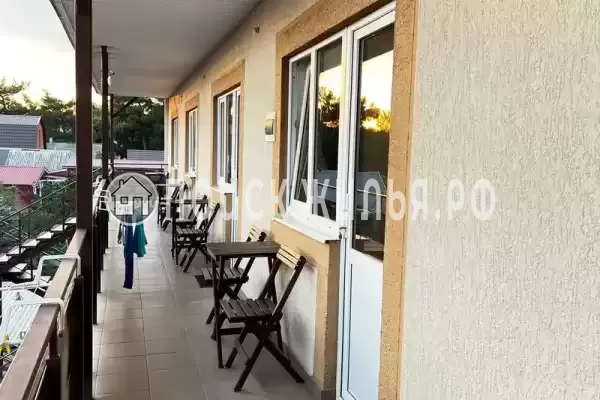 «Золотая лоза» «Золотая лоза»